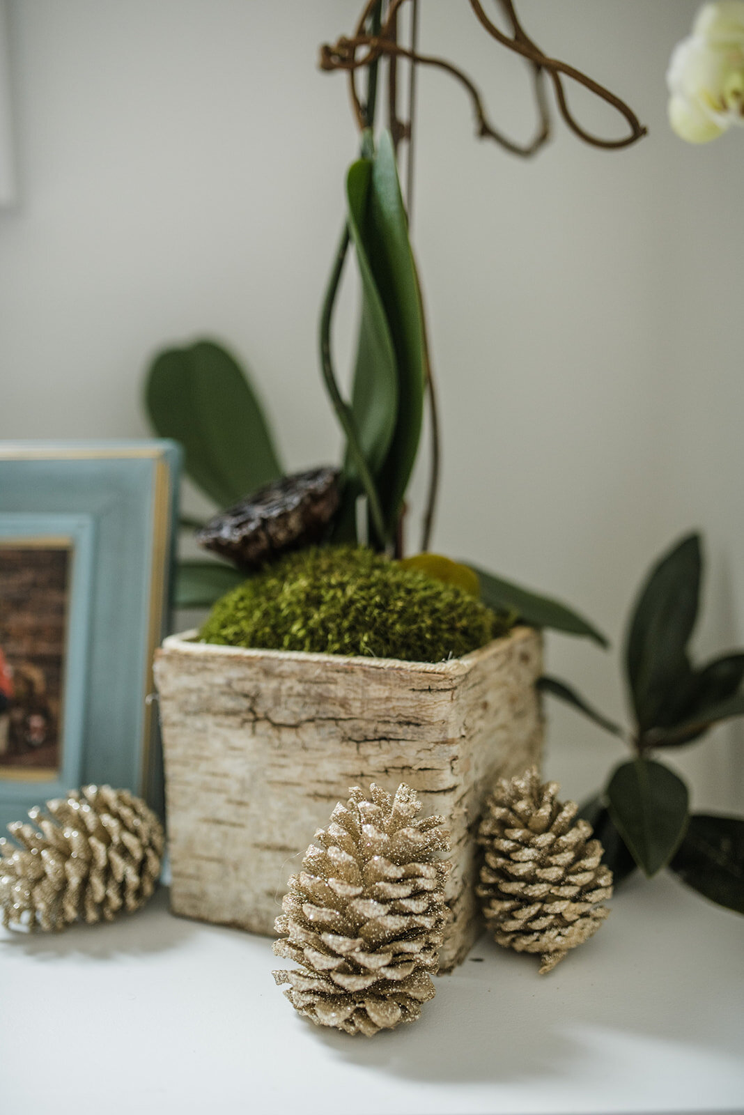 gold pinecones holiday decor