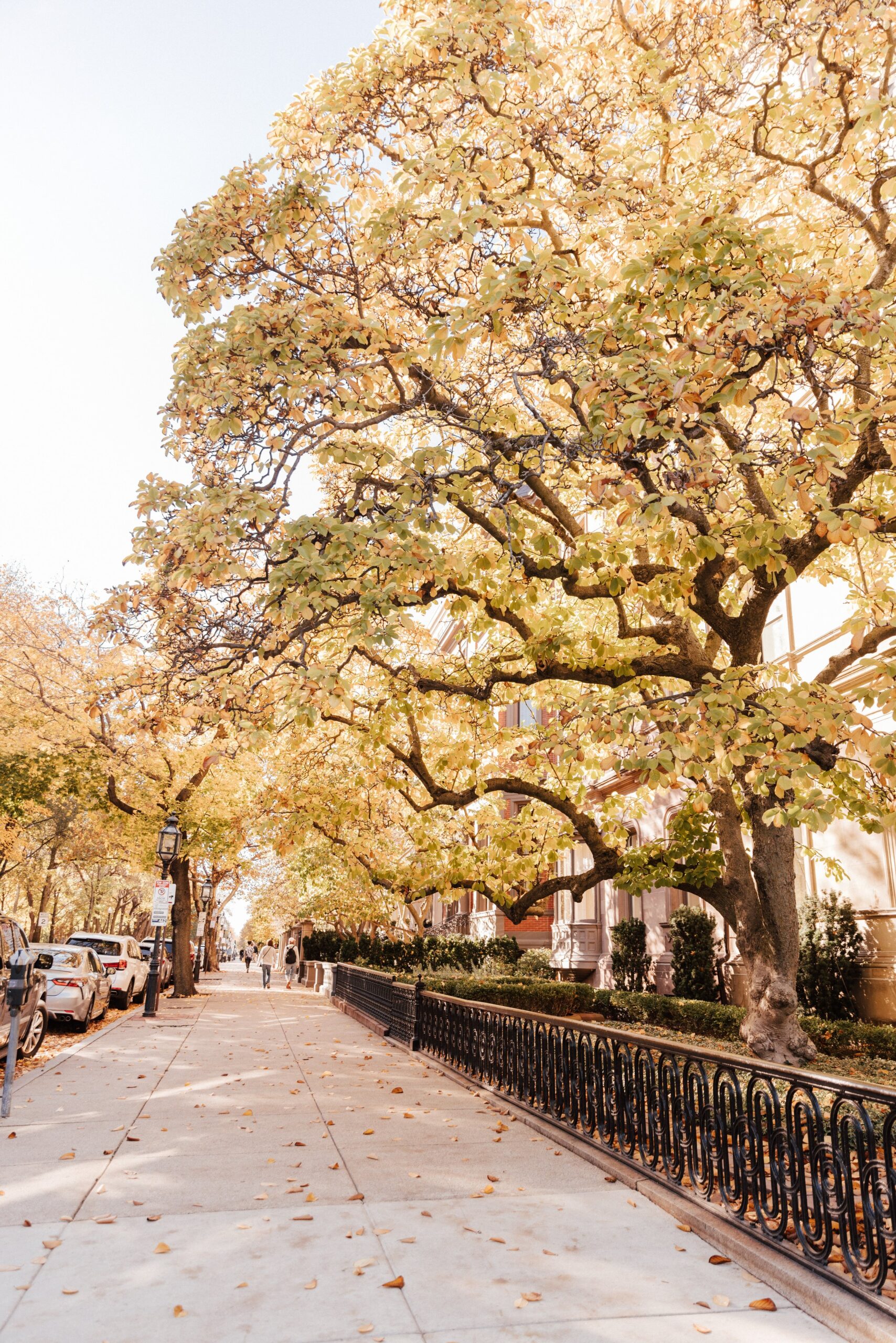 boston-photoshoot-locations-hannah-lozano-photography-60.jpg