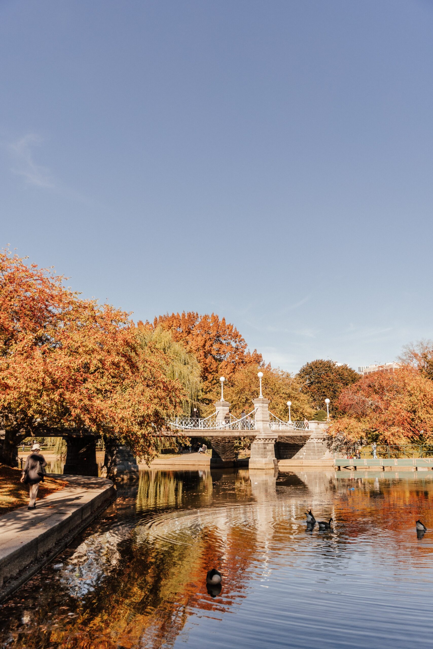 boston-photoshoot-locations-hannah-lozano-photography-63.jpg